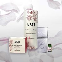 Insignia AMI Essence Kit Bundle for steam showers
