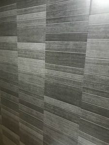 Modern Carbon Shower panels