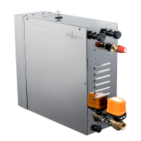 commercial grade steam generator from Insignia