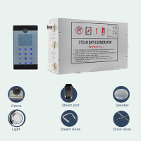 3Kw DIY Steam SHower Kit