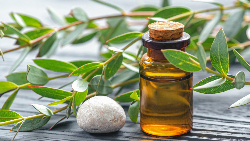Eucalyptus oil