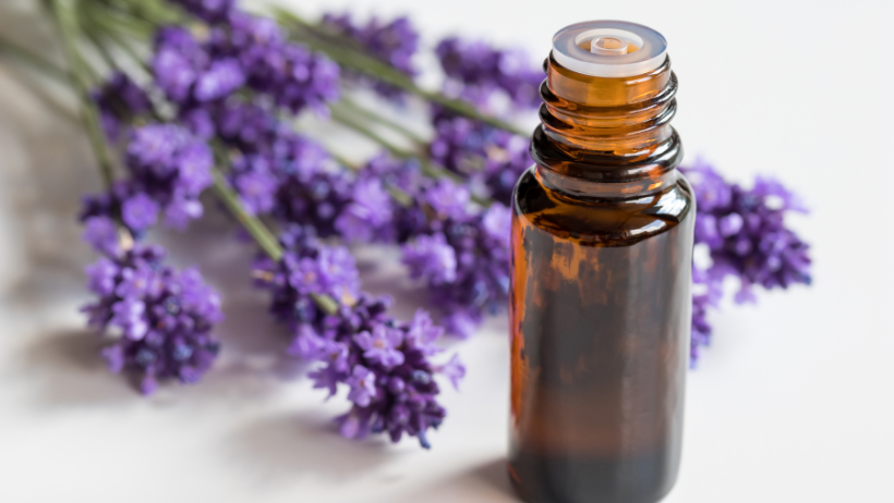 Lavender oil