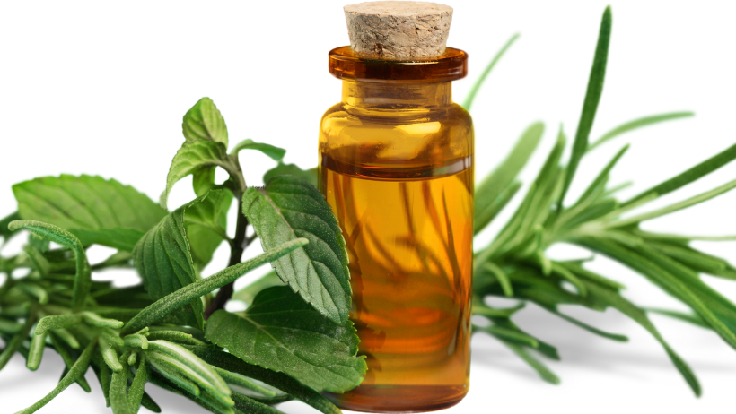Rosemary oil